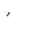 Stallion57